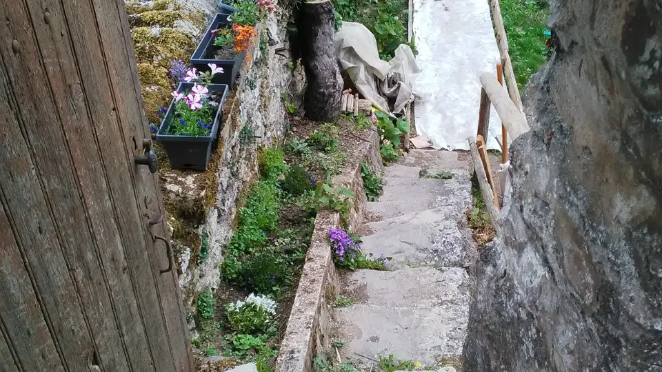 Le refuge des Alpes Mancelles - Fresnay-sur-Sarthe - escalier vers le jardin