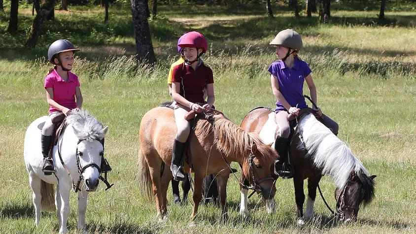 equitation-poney6-ffe-psv-reduite
