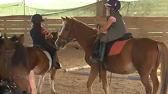 etrier-fontenaisien-centre-equestre-85200-fonenay-le-comte-1