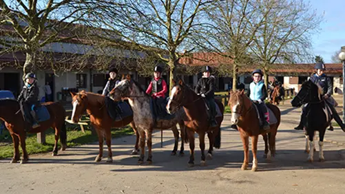 etrier-fontenaisien-centre-equestre-85200-fonenay-le-comte-2