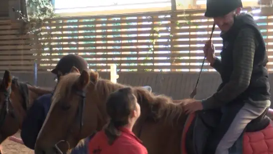 etrier-fontenaisien-centre-equestre-85200-fonenay-le-comte-3