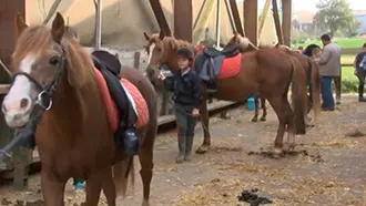 etrier-fontenaisien-centre-equestre-85200-fonenay-le-comte-5