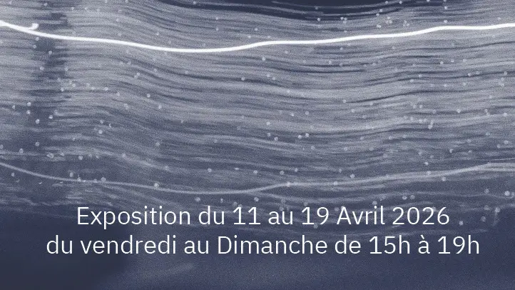 expo Maxime Rouxel affiche jpg