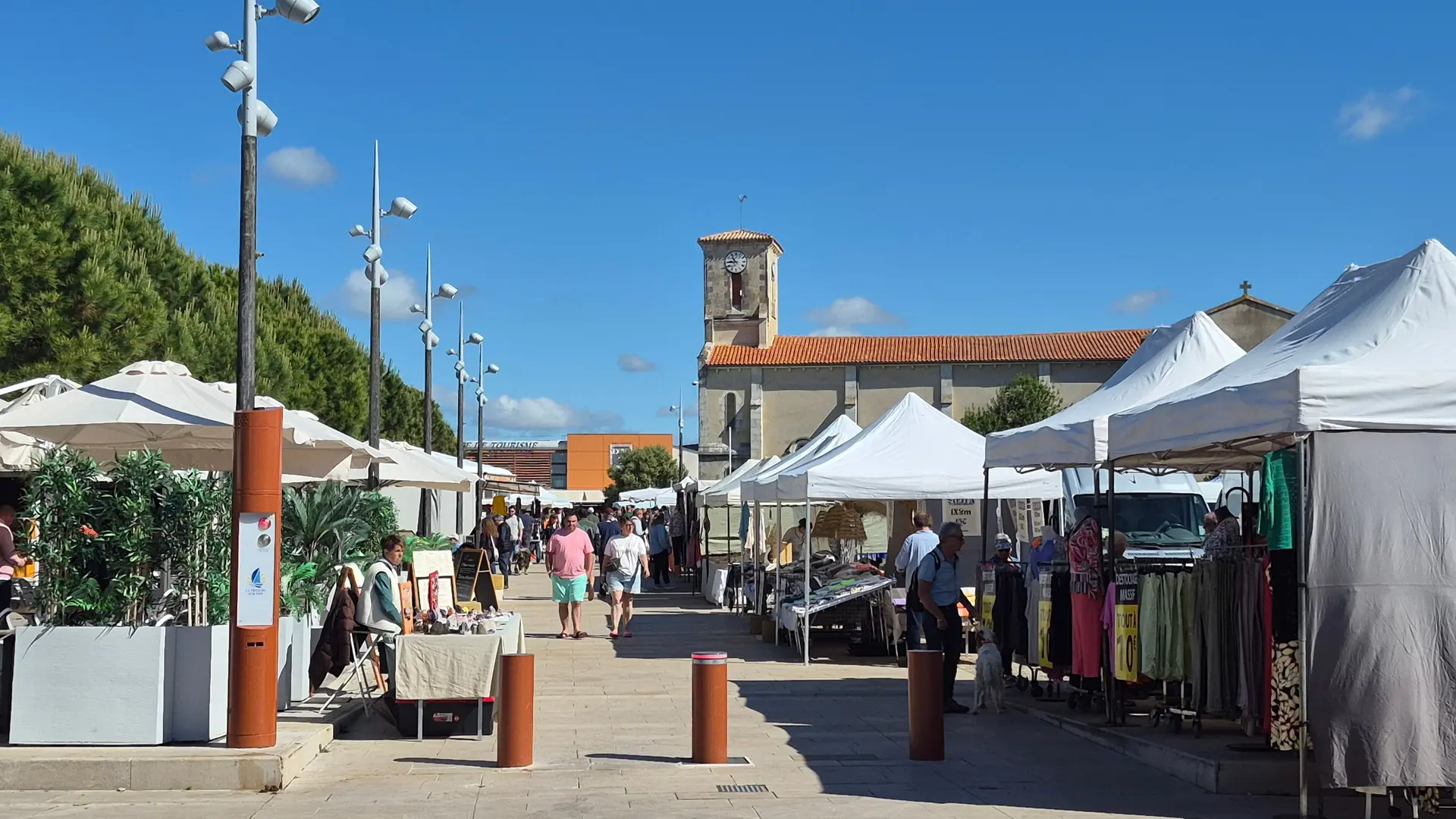 446539 - Marché du samedi en saison