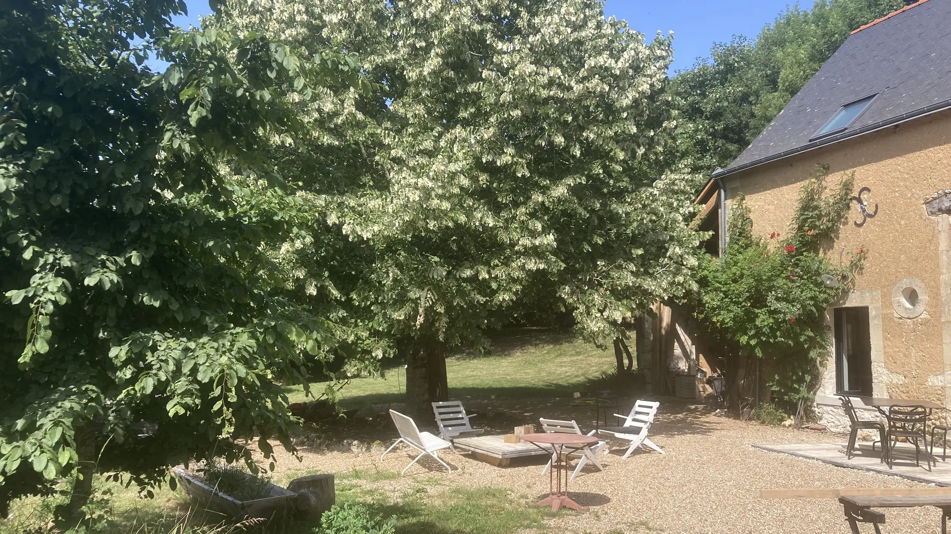 Chambres et table d'hôtes Le Vaux Jouin_tilleul