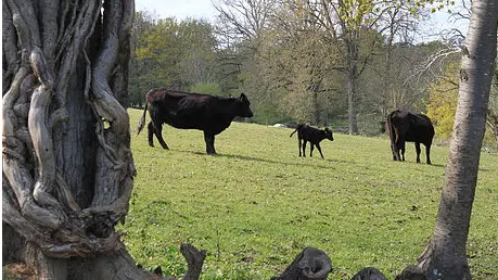 Ferme Roc au Loup