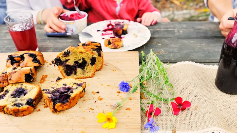 Goûter  Ferme des Bleuets_Vaas
