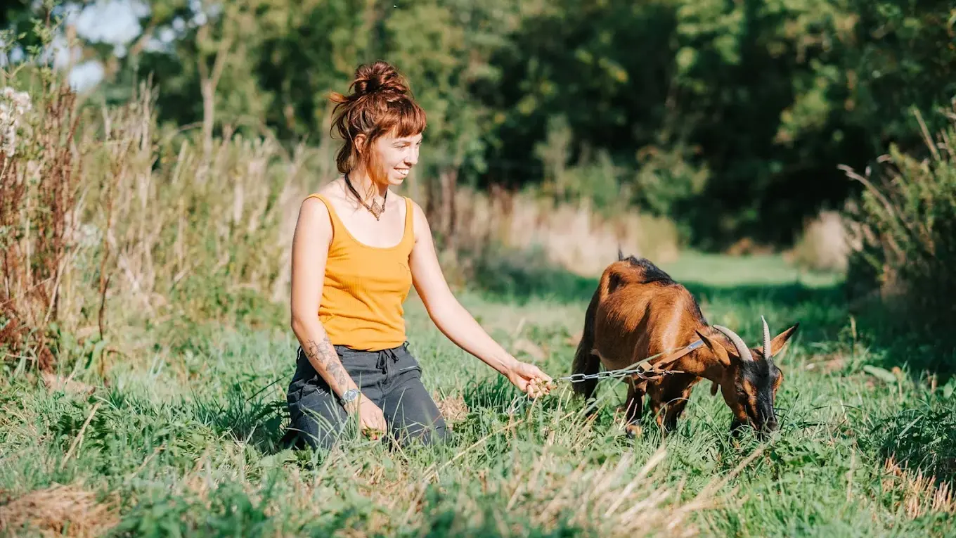 ferme-pédagogique-la-nature-dans-les-prés-saint-hilaire-de-voust-vendée-85-1