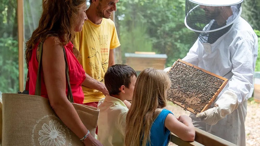 folie-finfarine-poiroux-vendee-animation-apiculture