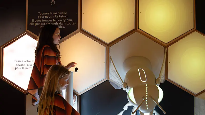 folie-finfarine-poiroux-vendee-parc-loisirs-ruche-geante