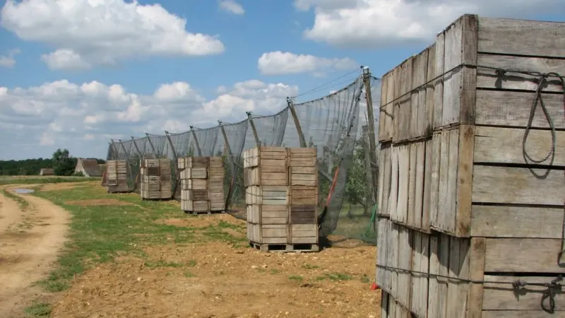 gaec des deux saints2