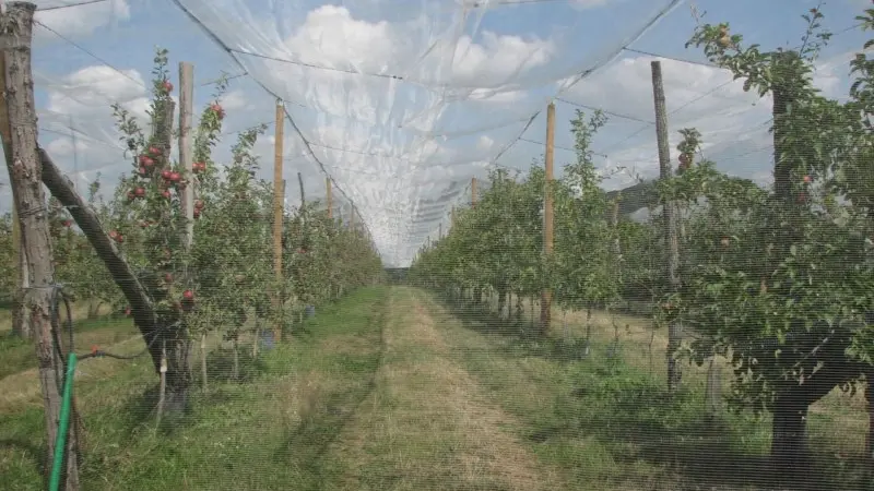 gaec des deux saints3