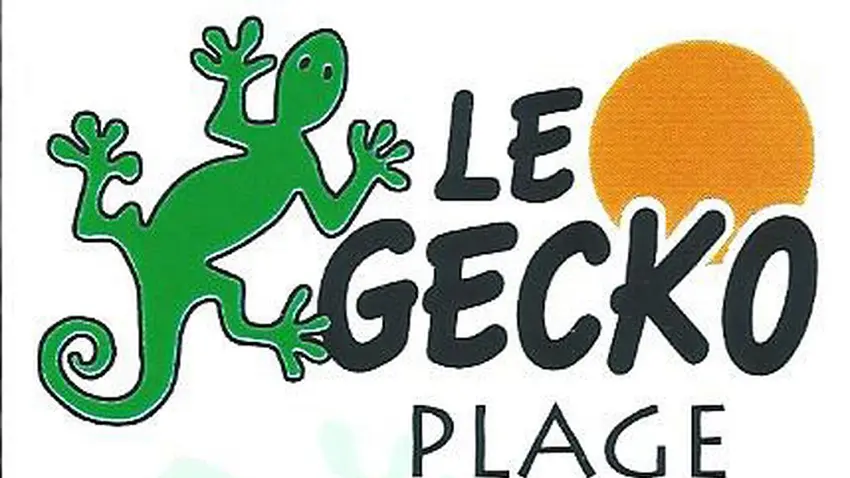 gecko-plage