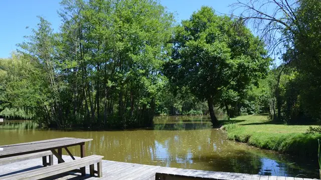 gite-maine-et-loire-anjou-vaulandry-campagne-baugé-en-anjou-49-nid-d-amour9