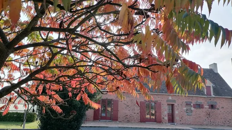 gîte à l'automne