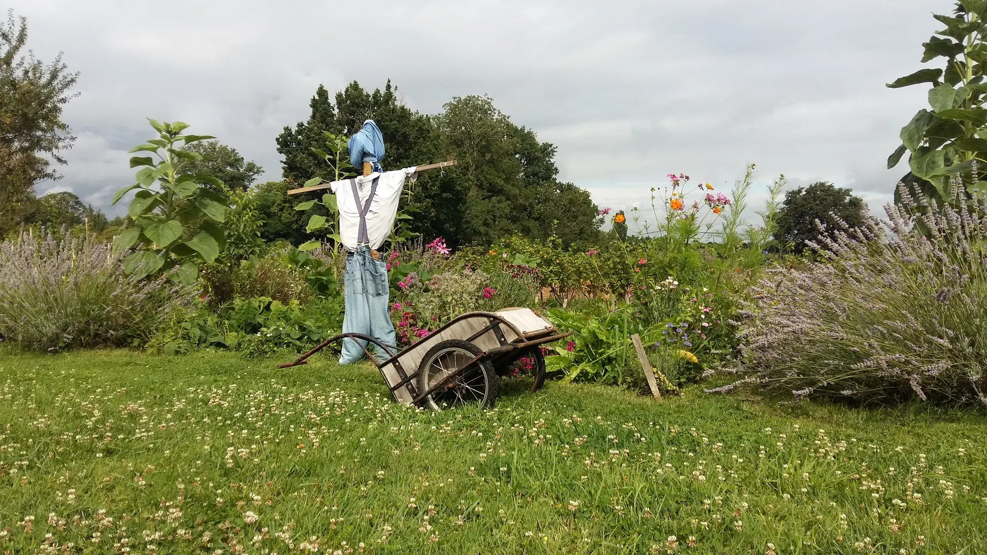 gite-ecologique-meuble-la-gataudière-foussais-payre-85240-fontenay-vendee- (5)