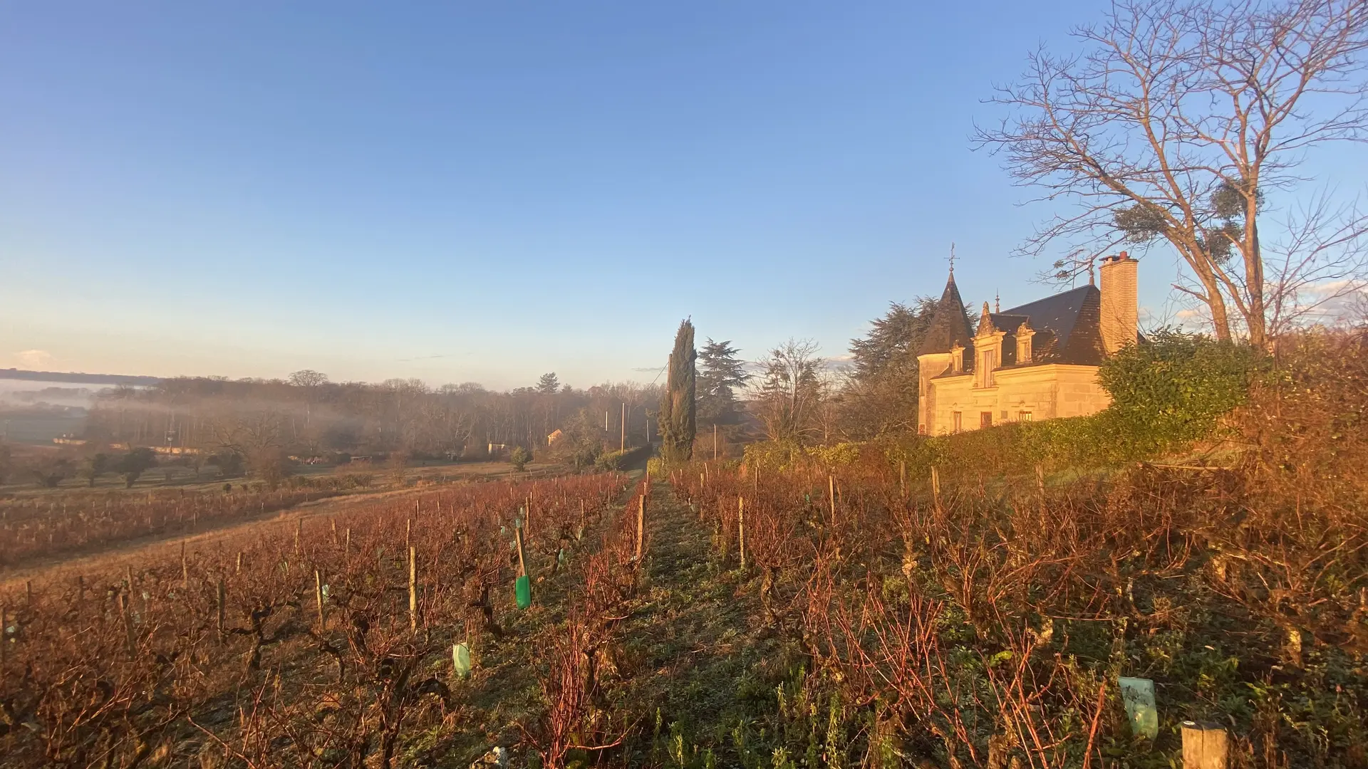 Le Petit Château des Tuffières_Lhomme