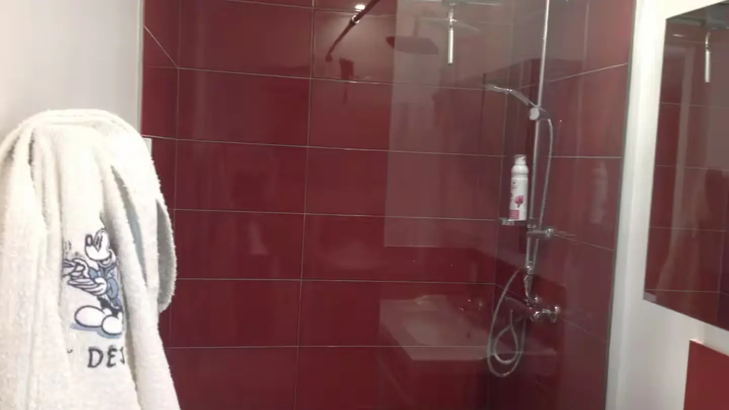 l-orangerie-du-domaine-gite-meuble-fontenay-le-comte-85-06