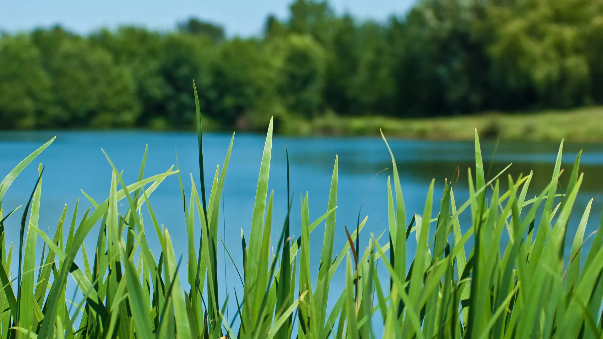 Le Loir la Chatre sur le Loir