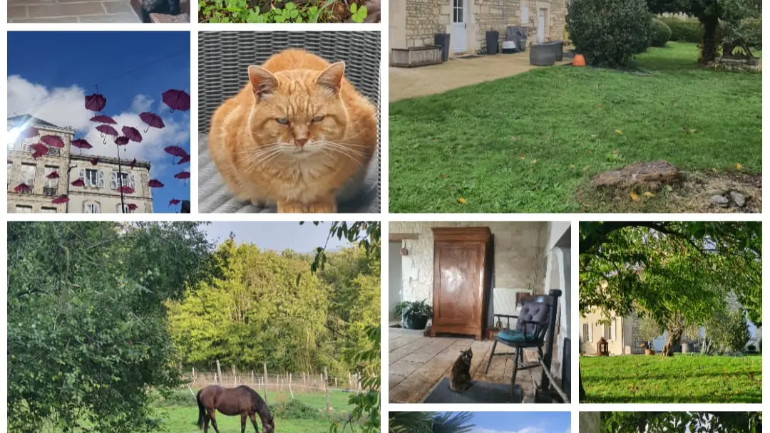 la propriété - gite le jardin des bosquets 85 auchay-sur-vendée