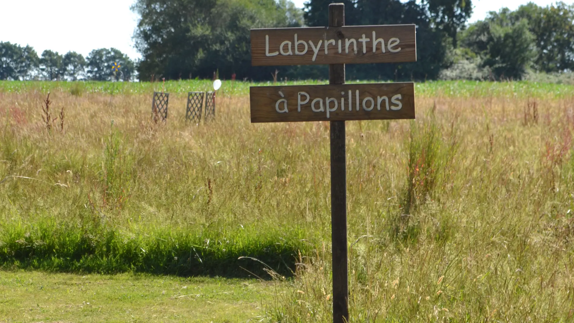 Labyrinthe papillons