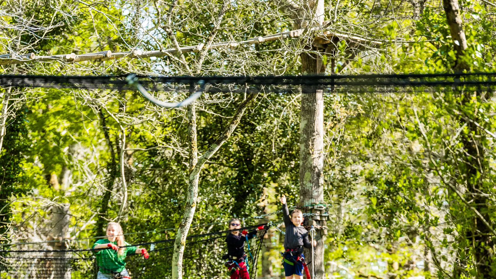 Accrobranche famille - LE GRAND DEFI - VENDEE EXPANSION