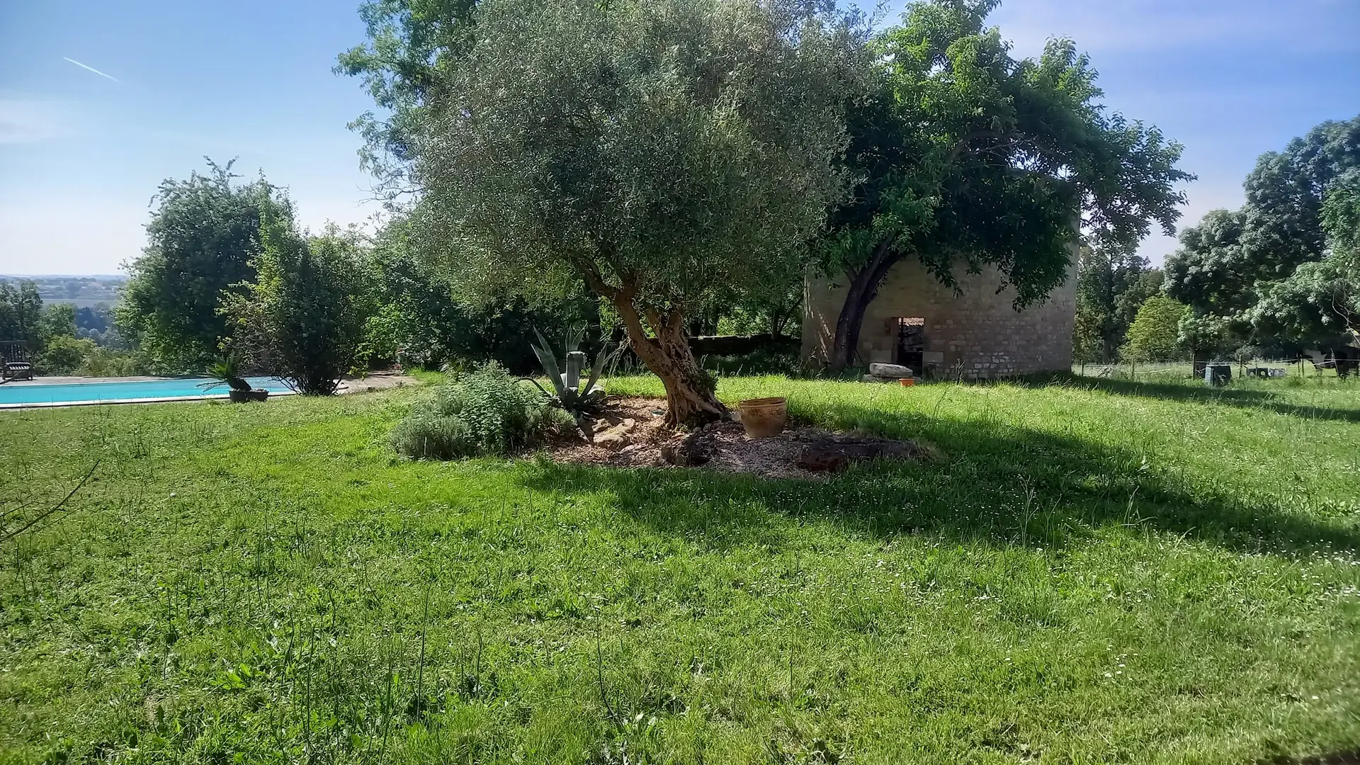 le jardin - gite le jardin des bosquets 85 auchay-sur-vendée