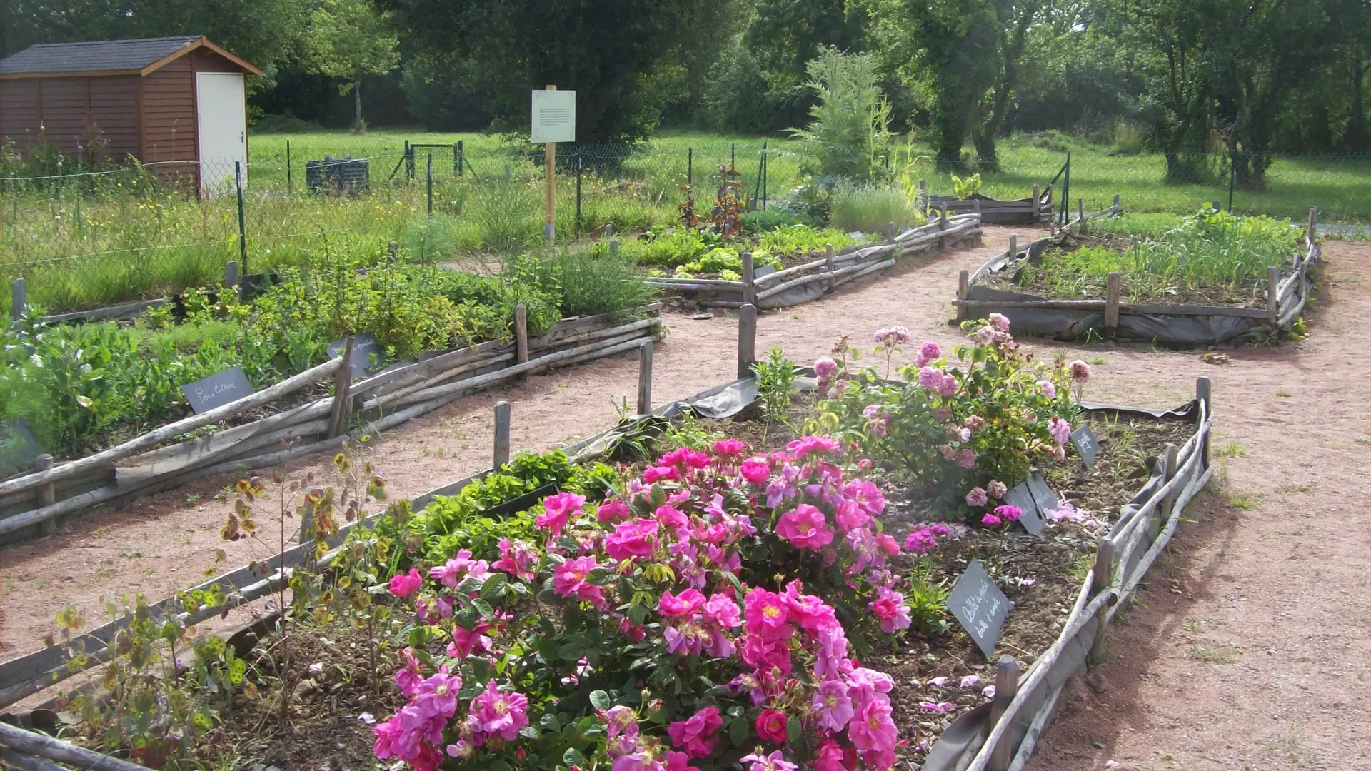 le-jardin-medieval-des-caves-1588240