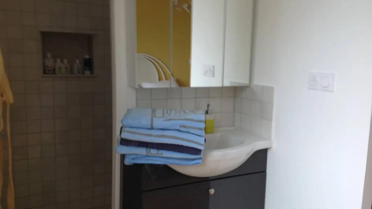 le-loft-et-ses-chambres-gite-meuble-fontenay-le-comte-85-13