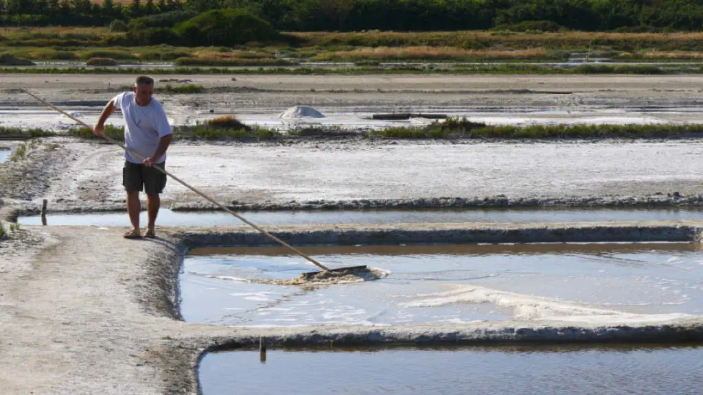 marais-salants-talmont
