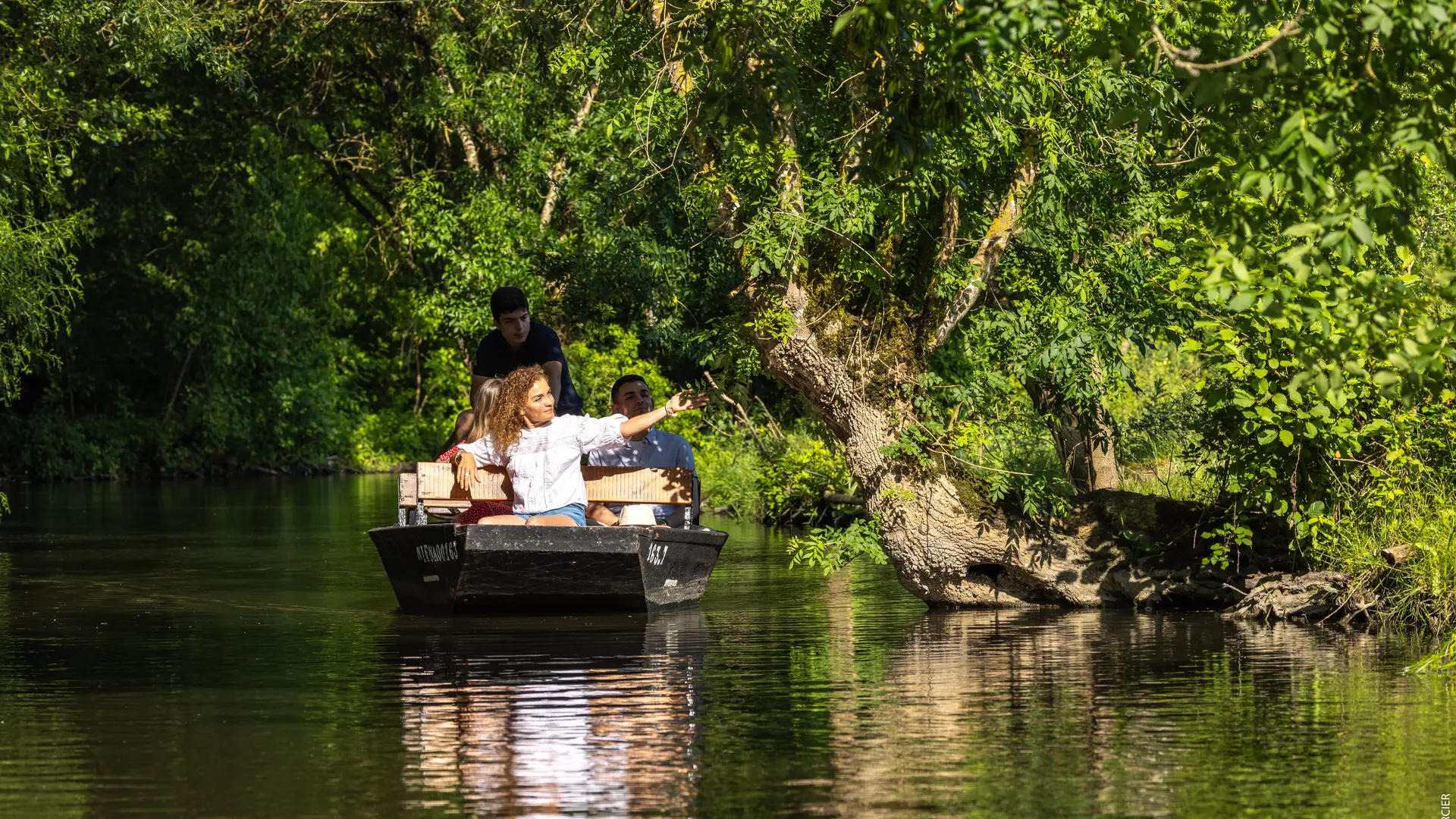 Le sud Vendée , le Mazeau