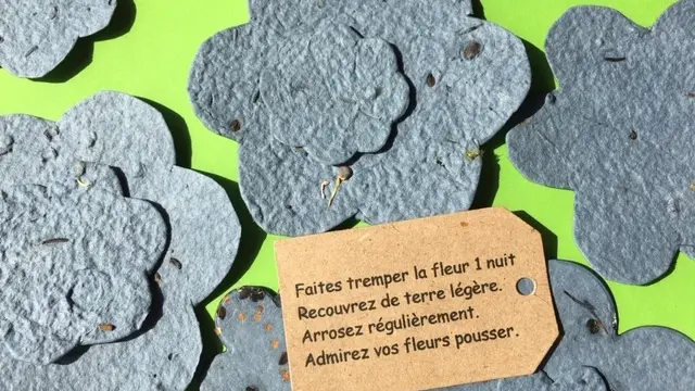 mode d'emploi papier à semer