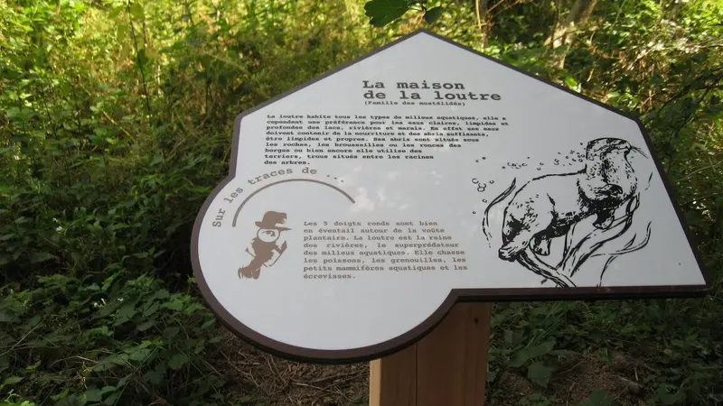 murmures-rochers-piste-empreintes-levignobledenantes-tourisme (13)