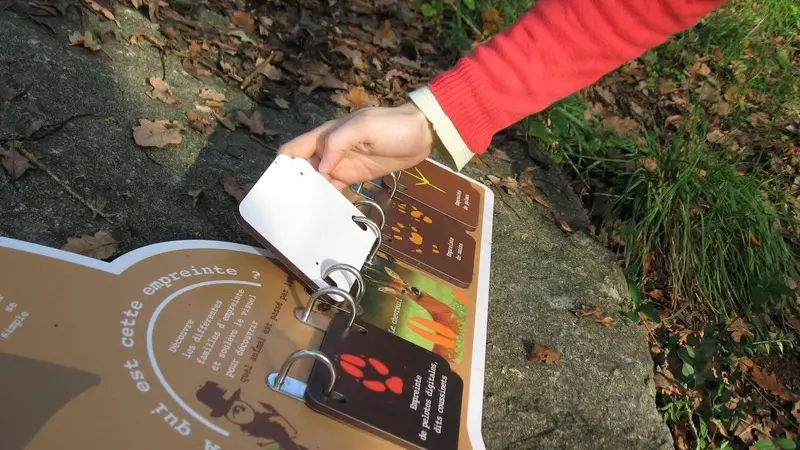 murmures-rochers-piste-empreintes-levignobledenantes-tourisme (17)