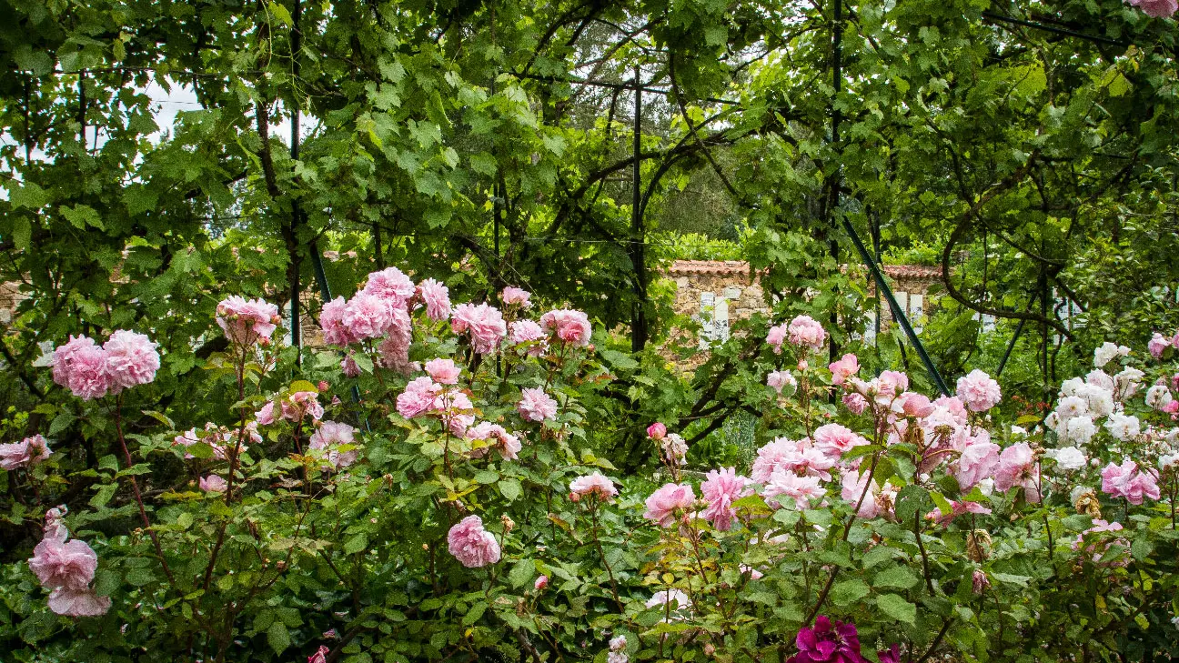 Jardin de la maison natale de Jean de Lattre