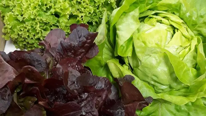 osaveursbaugeoises_1