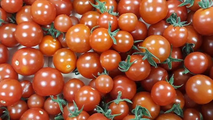 osaveursbaugeoises_3