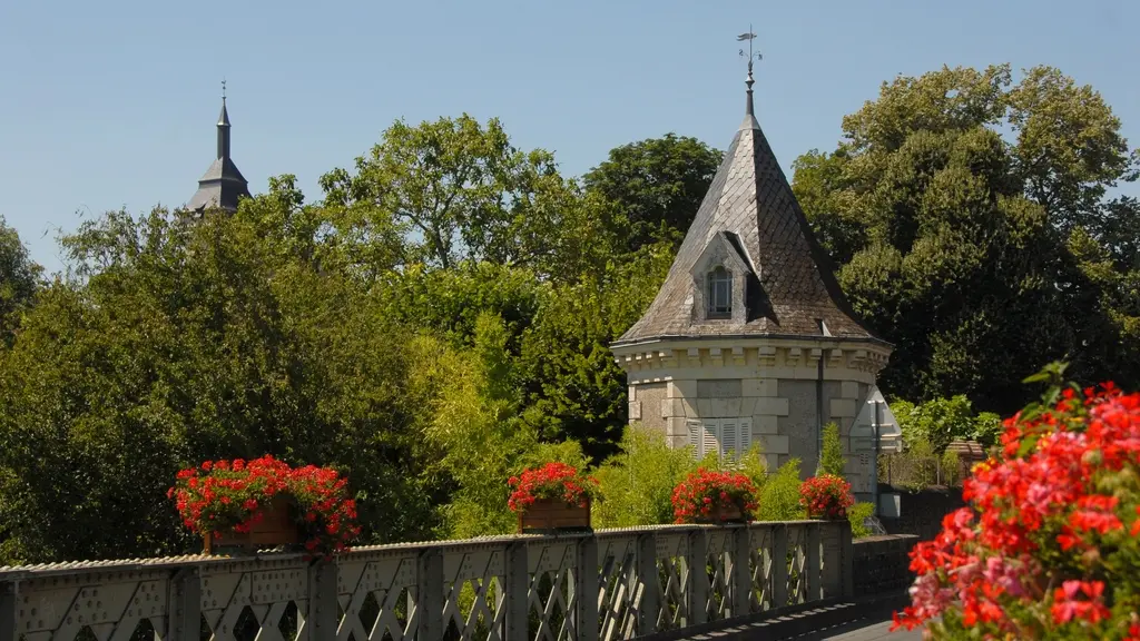 pcc_Luche_pringe_72_pcu(8)