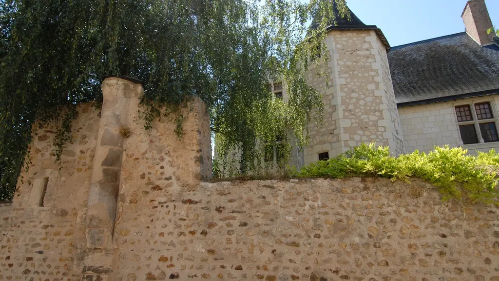 pcc_Luche_pringe_72_pcu(9)