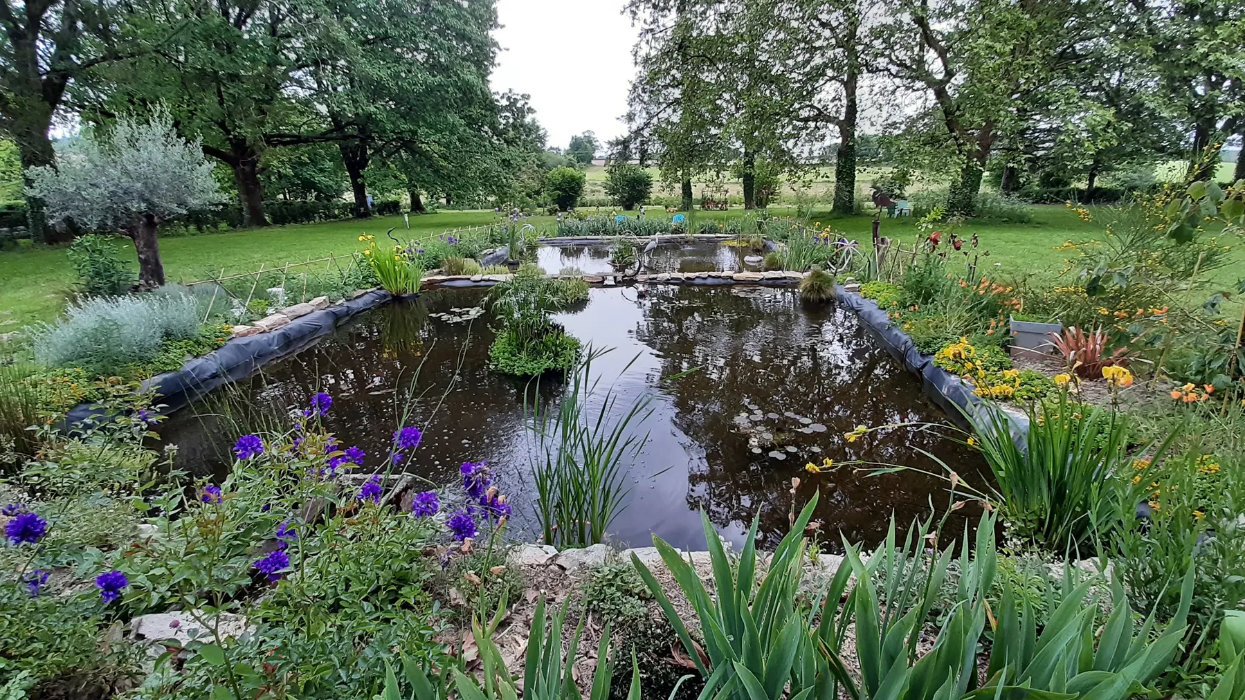 parc - Le Plessis - la Chapelle aux Lys - 85