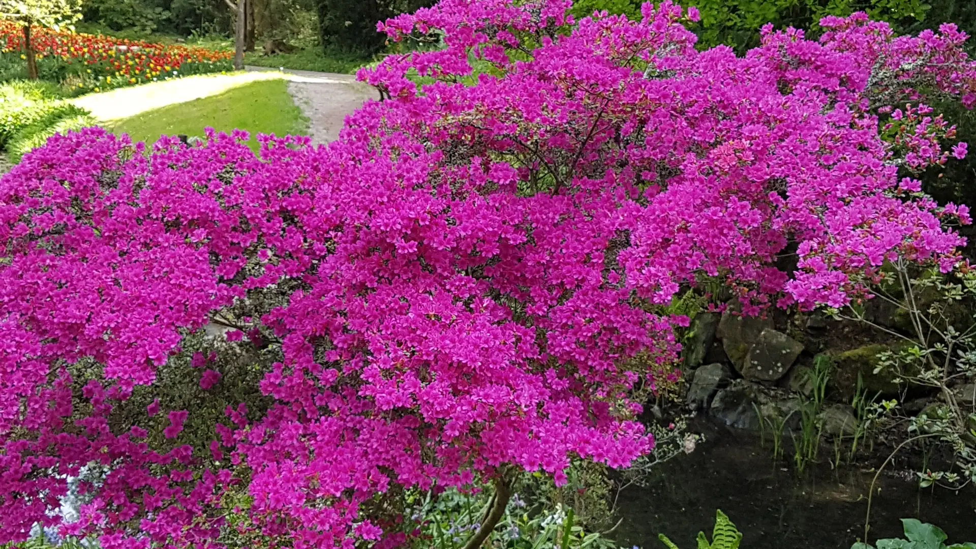 parc floral court d'aron
