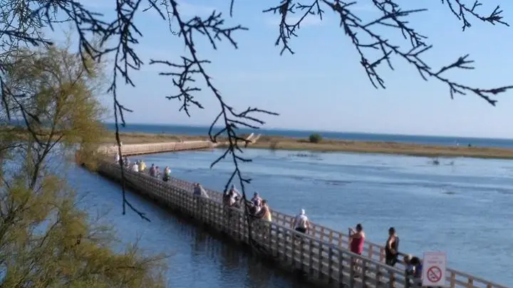 passerelle grande marées