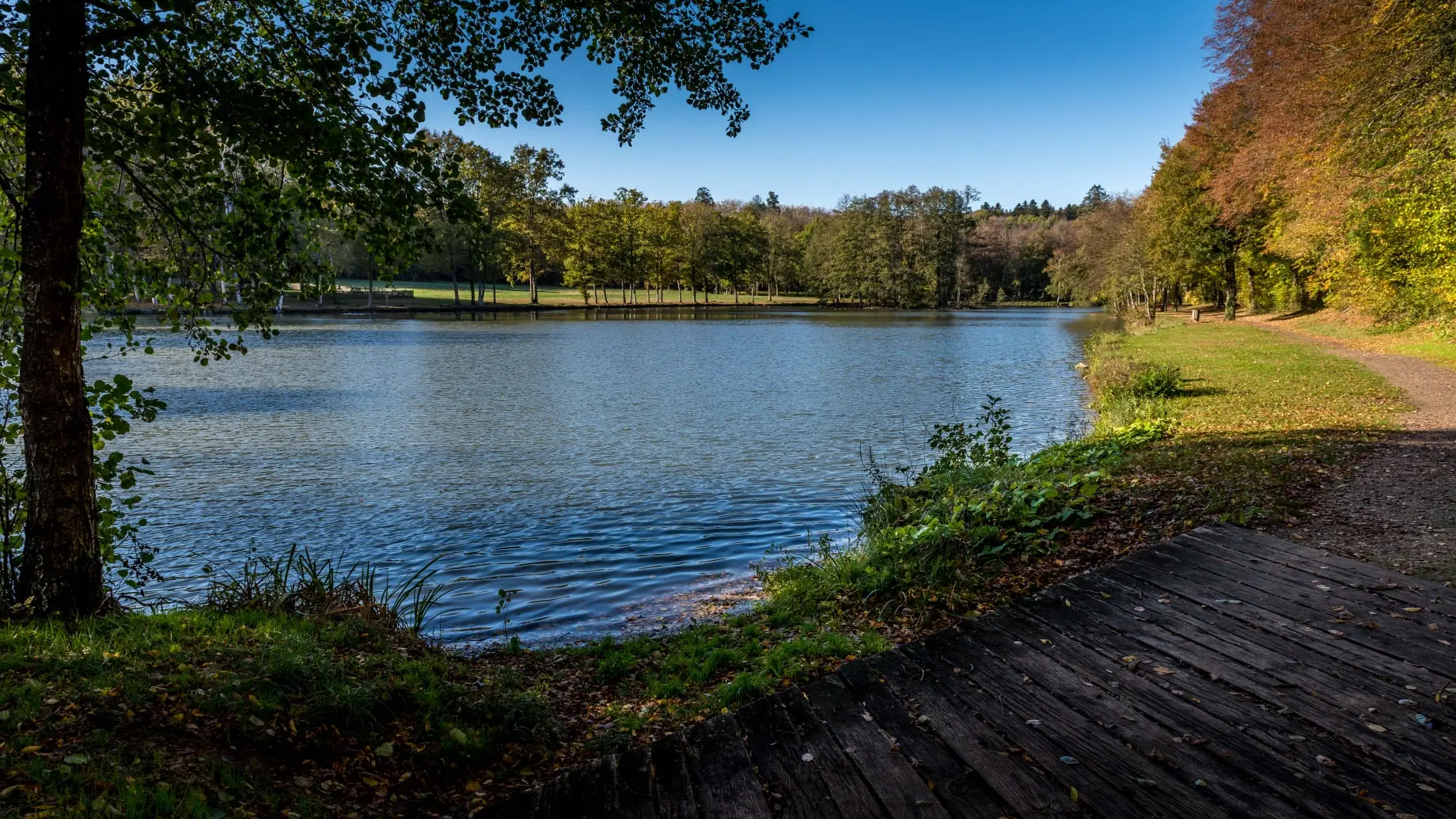 Etang de Courtanvaux