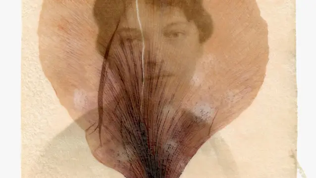 Inconnue, Photo transfert sur pétale