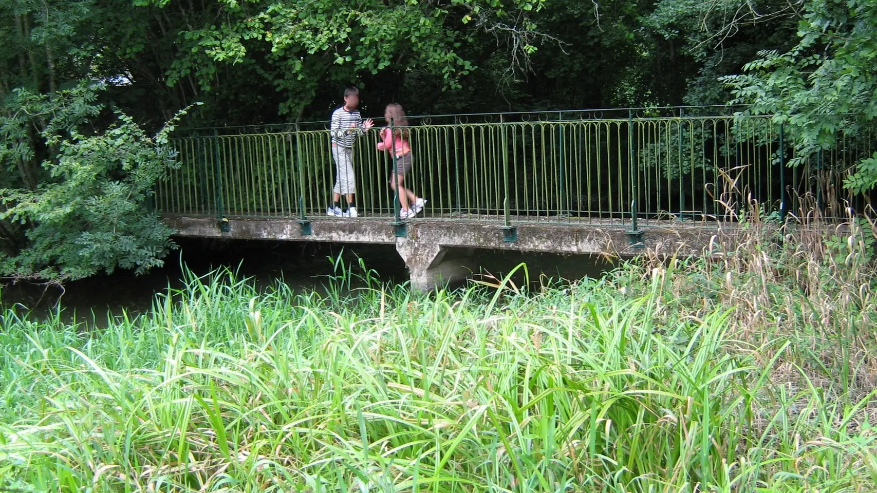 pont à l'aire de pique-nique - Marillet - 85