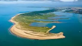 Escale sur la pointe d'Arçay, visite de la réserve naturelle et de l'estuaire.