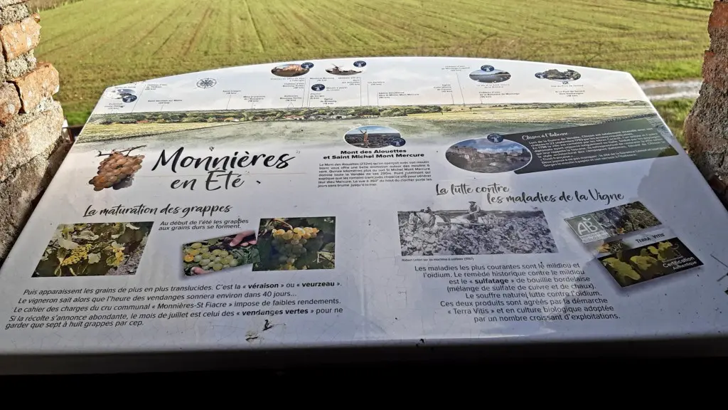 Point de vue au Moulin de la Minière à Monnières