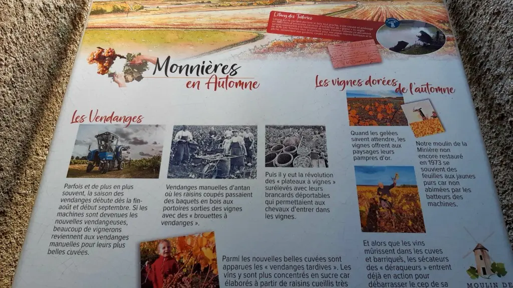 Point de vue au Moulin de la Minière à Monnières