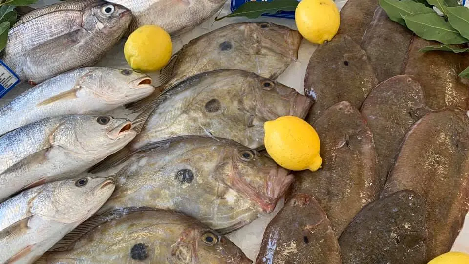 poissonnerie (4)