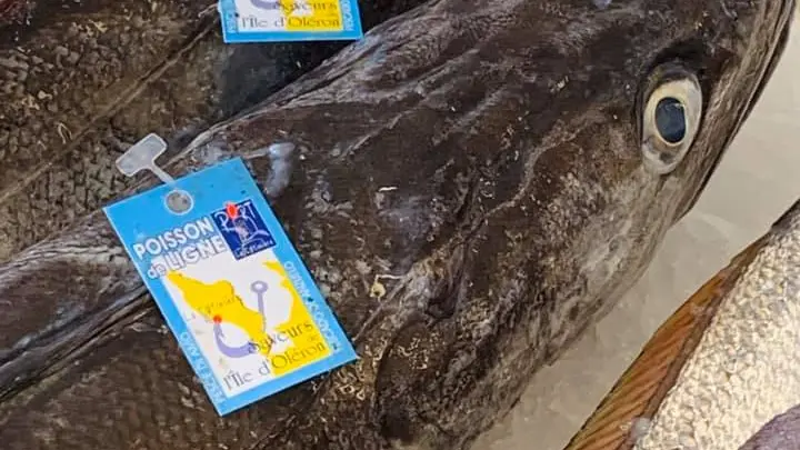 poissonnerie (8)